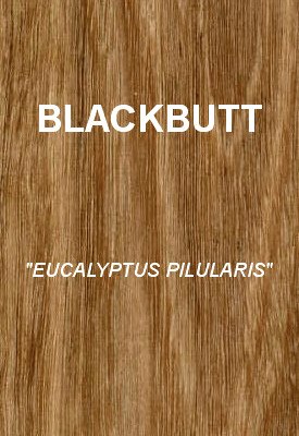 BLACKBUTT