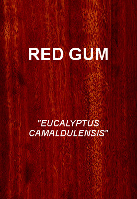 REDGUM