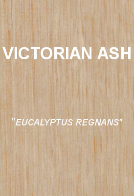 VICTORIAN ASH